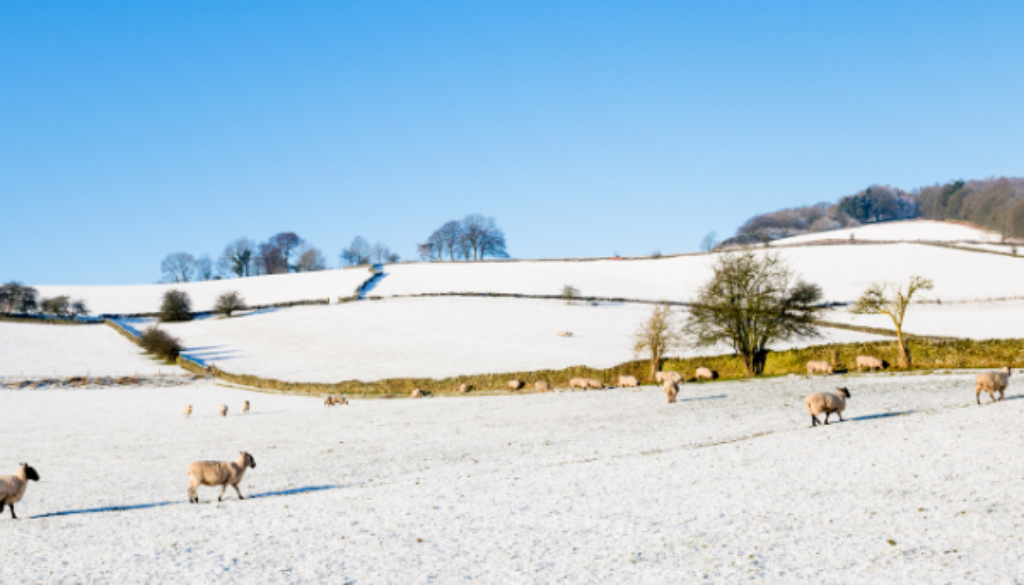 Advice For Keeping Village Halls Safe This Winter – RCAN